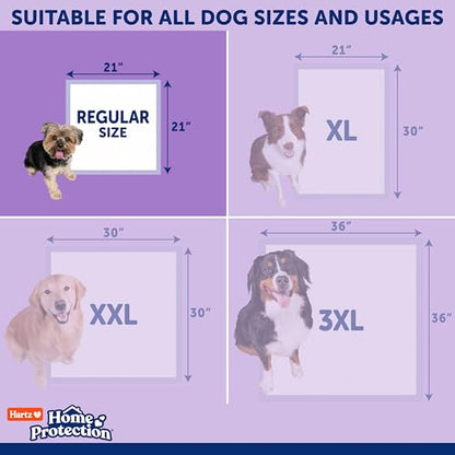 Hartz Home Protection Super Absorbent Odor Eliminating Lavender Scented No Leak Dog Pads, 50 count - size: 21 x 21 (50 count)