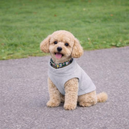 JACKO & CO - Fleece Vest Dog Sweater with Leash Ring - Soft, Warm & Lightweight Pullover Coat for Small & Medium Dogs, Puppies & Cats - Cozy Fall/Winter/Spring Pet Jacket (Grey, X-Small 2-4lbs) - color: Grey, size: XS (2-4lbs)