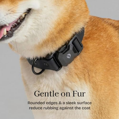 Fei & Eve VERO Dog Collar, Black, Small | MagEase Magnetic Buckle, Waterproof PVC, Odor Resistant, Easy Clean, Heavy Duty - color: Black, size: S