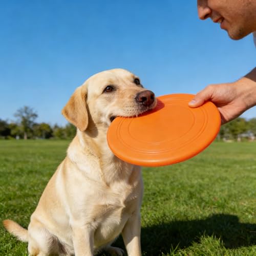 7 Inch Soft Flying Disc for Pets - TPR Non-Slip Floating, Ideal for Beach Games & Interactive Play.