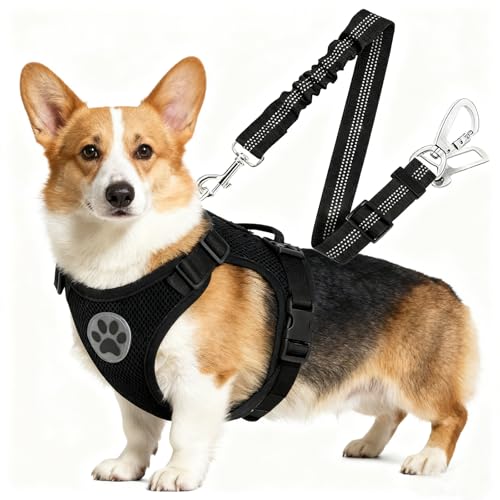 Dog Car Seat Belt Harness - Adjustable Mesh Breathable Safety Tether with Elastic Bungee for Small Medium Large Pets（S - size: S