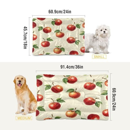 Apples Pattern Pet Bed Mat for Dogs and Cats, Soft Washable Crate Pad with Non-Slip Bottom, Cozy Bed Cushion for Small Medium Large Pets, 24x36 Inch - size: Medium