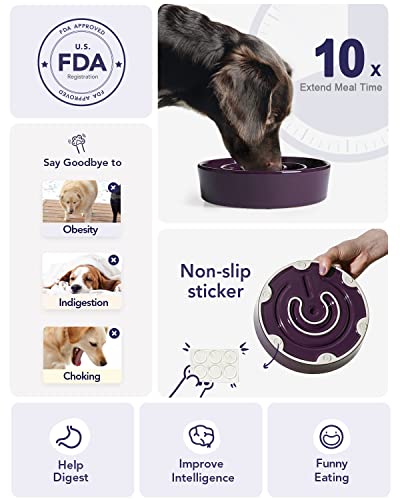LE TAUCI Slow Feeder Dog Bowls Ceramic, 3 Cups Slow Feeding Dog Bowl Medium Large Breed, Pet Bowl for Fast Eaters, Puzzle Pet Dishes, Maze Purple - color: Maze Purple, size: L-3 Cups