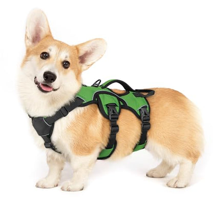 rabbitgoo Escape Proof Dog Harness, Soft Padded Full Body Pet Harness, Reflective Adjustable No Pull Vest with Lift Handle and Lesh Clip for Large Dogs Walking Hiking Training, S, Green - color: Green, size: Small (Pack of 1)