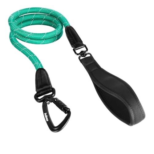 PetBonus Rope Dog Leash, 5 FT Heavy Duty Pet Nylon Leash with Auto Locking Aviation Aluminum Carabiner, Comfortable Padded Handle, Reflective Walking Training Lead for Medium Large Breeds (Turquoise) - color: Turquoise