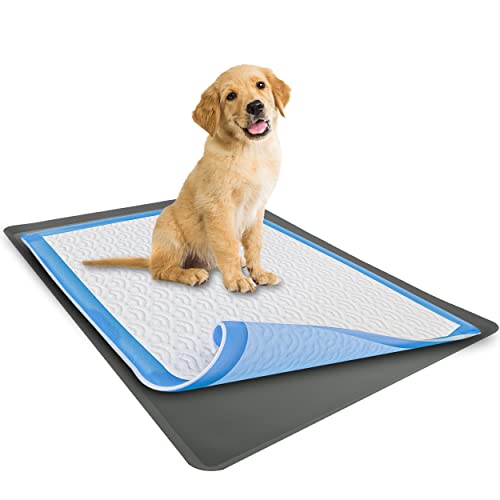 TidyFriend Reusable Silicone Dog Training Tray for 23 x 30 Inches Pads, Washable Puppy Potty Station, No-Spill Heavy Duty Pee Pad Holder for Dogs - Easy to Clean & Travel Friendly (Grey)