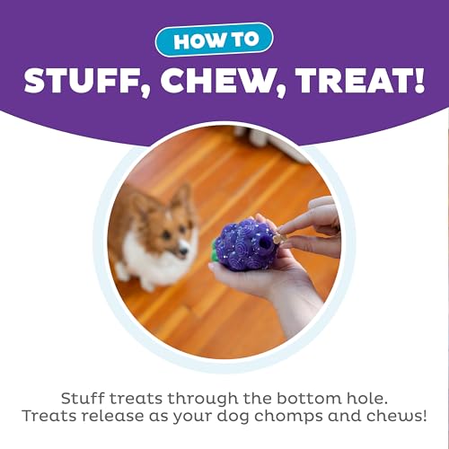 Outward Hound Dental Grapes Dog Toy & Treat Stuffer, 6″ x 3″ Grape-Scent Interactive Chew for Dogs, Helps Clean Teeth, Promote Healthy Gums & Mental Enrichment, Reduce Boredom & Support Dental Health - color: Grape