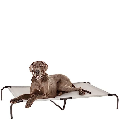 Amazon Basics Cooling Breathable Elevated Pet Bed with Metal Frame for Large Dogs, X-Large (60.1 x 37.1 x 8.9 Inches), Grey, 1 Count - color: Grey, size: X-Large