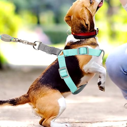 jojofuny Adjustable Escape Proof Dog Harness with Dual D-Shaped Rings, Lightweight Green Medium Pet Harness for Walking and Outdoor Use