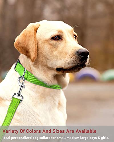 Reflective Dog Collar with Buckle Adjustable Safety Nylon Collars for Small Medium Large Dogs, Grass Green XS - color: Grass Green, size: X-Small :Width 5/8",Neck 8-12"