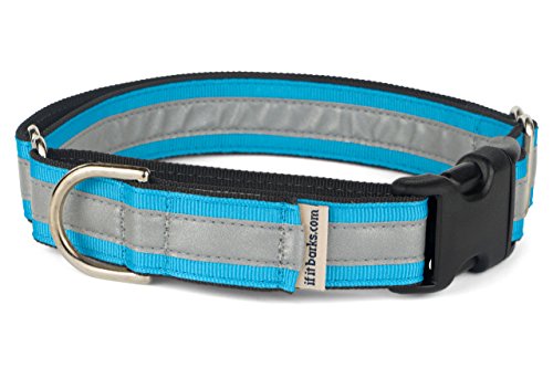 If It Barks 1" Reflective Martingale Collar with Quick Snap Buckle for Dogs, Adjustable, Made in USA,Medium, Turquoise - color: Turquoise, size: Medium w/Buckle