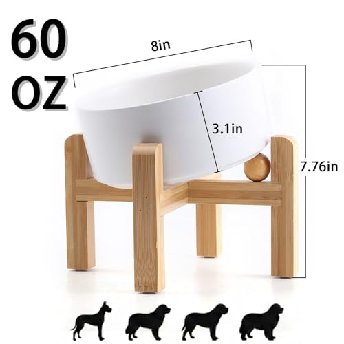 hjn Elevated Ceramic Dog Bowl 15°Slanted Raised Dog Bowl with Bamboo Stand for Small Medium Dogs and Cats, Pet Feeder -7.6-Cup (1800ml)-White - color: White, size: 7.6Cup