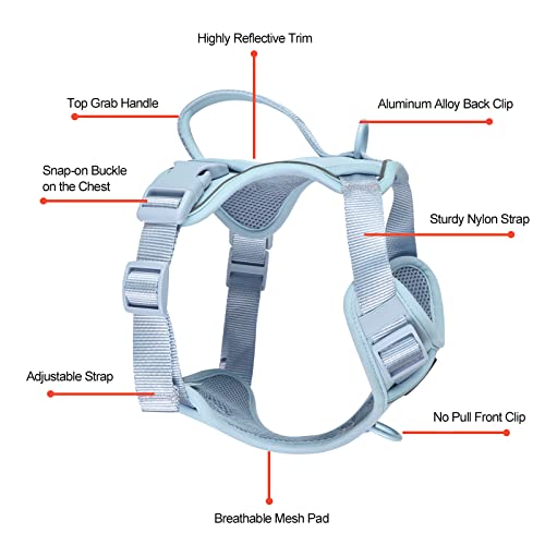 Petmolico Dog Harness for Small Dogs, Cute Harness Vest with Two Leash Clips and Soft Handle, Reflective Easy Walk Puppy Vest - Light Blue, Small - color: Light Blue, size: Small