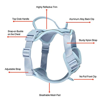 Petmolico Dog Harness for Small Dogs, Cute Harness Vest with Two Leash Clips and Soft Handle, Reflective Easy Walk Puppy Vest - Light Blue, Small - color: Light Blue, size: Small