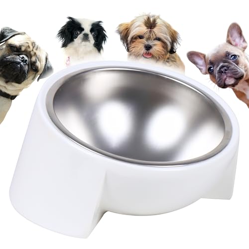 Tilted Dog Bowl for Flat-Faced & Senior Dogs, 15° Slanted Stainless Steel Dog Food Bowl, Elevated Pet Feeder for Small & Medium Dogs, Comfortable Eating Design (White, M (420 ML / 1.5 Cups) - color: White
