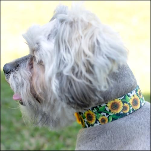 Country Brook Petz - HossFit Jr Wide Martingale Dog Collar - Country and Western Collection (Dairy Fields, Extra Large) - color: Dairy Fields, size: Extra Large (Pack of 1)