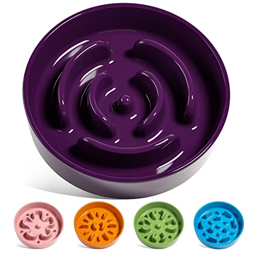 LE TAUCI Ceramic Slow Feeder Dog Bowls Small Breed, 0.6 Cups Dog Food Dish for Fast Eaters, Puzzle Bowl for Small Dogs and Cats,Purple - color: Maze Purple, size: S-0.6 Cups