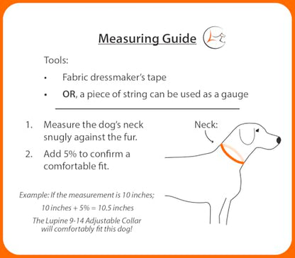LupinePet Waterproof Splash Dog Collar, True Blue, 1-inch Wide, adjusts 25-31", Made with BioThane - color: True Blue, size: X-Large: Adjusts from 25 to 31 in, 1-in wide