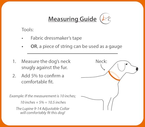 LupinePet Waterproof Splash Dog Collar, True Blue, 1-inch Wide, adjusts 16-28", Made with BioThane - color: True Blue, size: Large: Adjusts from 16 to 28 in, 1-in wide