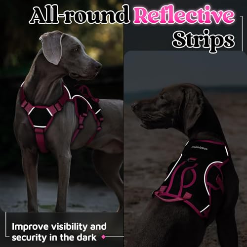 rabbitgoo Escape Proof Dog Harness Medium, Soft Padded Full Body Pet Harness, Reflective Adjustable No Pull Vest with Lift Handle and Leash Clip for Walking Hiking Training, Pink & Black, M - color: Pink & Black, size: Medium (Pack of 1)