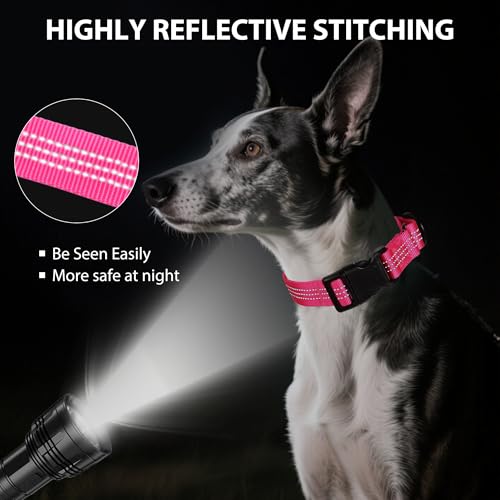 Martingale Dog Collar Quick Release Buckle No Pull Reflective Non-Slip for Medium Large Dogs Training (Pink, Large) - color: Pink, size: Large (Pack of 1)