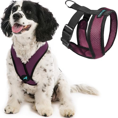 Gooby Comfort X Head in Harness - Purple, Small - No Pull Dog Harness with Patented Choke-Free X Frame for Small to Medium Dogs Indoor/Outdoor Use - color: Purple, size: Small Chest (11.75-15.5")