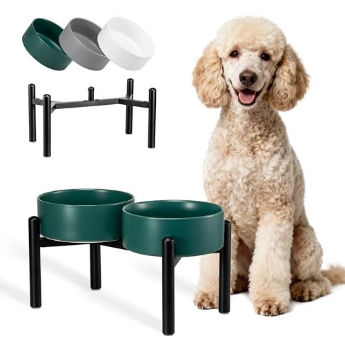 Dog Bowls Elevated - Ceramic Raised Dog Bowl with Non Slip Steel Stainless Stand - No Spill and Heated Feeding Station - Food and Water Dish Set for Medium to Large Pet - Each Holds 7.5 Cups – Green - color: Green, size: 2 Bowls - 7.5 Cups Each