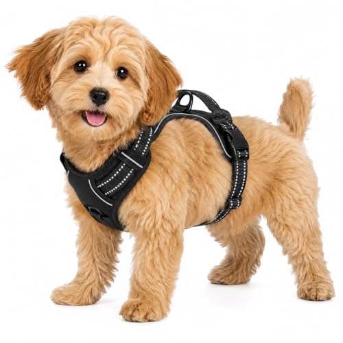 Black Adjustable Reflective No-Pull Dog Harness with 2 Leash Clips，Soft Padded Vest for Small Dog, Easy to Put on and Take Off,Black Small - color: Black, size: Small