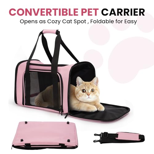 Soft-Sided Cat Carrier Expandable Pet Carrier Airline Approved Mesh Travel Carrier Up to 22lbs for Cats Small Dogs Collapsible Escape-Proof with Shoulder Strap Washer (20x13x13 Pink) - color: Pink, size: 13.4"L x 13.4"W x 20.1"H