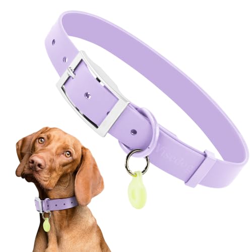 Wisedog Small Puppy Collar, XS 7"-10" × 1/2 in, Lilac | Soft Rubber Coated Webbing, Cute Pet Collars, For Small Dogs Cats - color: Lilac