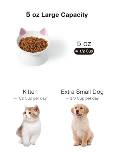 ABRUTY Cat Food Bowl, 5 OZ Ceramic Elevated Kitten Water Bowl, 15° Tilted Raised Pet Feeder, Anti Vomiting and Whisker Friendly Dishes for Fat Faced, Cat, Kitten, Small Dog - color: Pink Cat, size: 1 Pack
