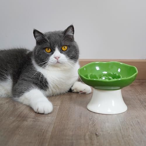 Ceramic Slow Feeder Bowl for Cats and Small Dogs, Elevated Tilted Pet Food Dish, Whisker Friendly Anti-Vomit Design, Heavy Stable Base, Dishwasher Safe， 5 Colors Options (Leaf Green) - color: Leaf Green