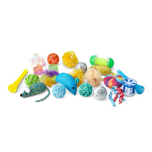 Amazon Basics Cat Toy Set, 20 Piece Variety Pack with Teaser, Ball, Feather, Spring - style: cat toy kits