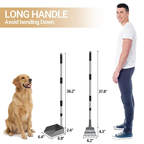 Heeyoo Dog Pooper Scooper, Dog Poop Tray and Rake Set, Pet Waste Removal Scoop with Long Adjustable Sectional Stainless Handles - color: Silver/Black