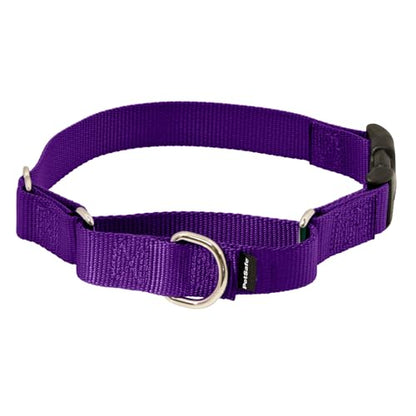 PetSafe Martingale Dog Collar with Quick-Snap Buckle - Medium, 1 Inch, Deep Purple