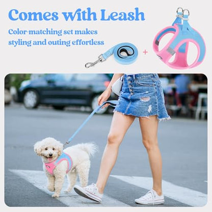 rabbitgoo Dog Harness Small Sized and Leash Set, Step in Soft Light Puppy Vest, Breathable Mesh Pet Harness, Reflective for Safe Easy Walking, Blue & Light Pink XXXS - color: Blue & Light Pink, size: Xxxs (chest: 10.8 - 11.8")