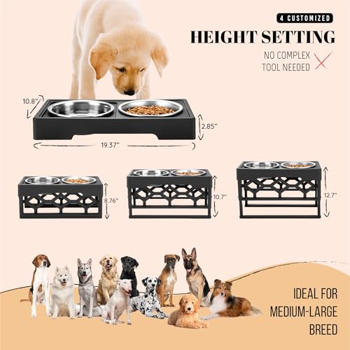 AVERYDAY Elevated Dog Bowls, 4 Height Adjustable Stand for Medium and Large Dogs, Raised Dog Feeder Holder with 2 Stainless Steel Food and Water Bowls, Anti-Slip Base Tall Feeding Station - color: Black stand + 2 food bowls, size: Large