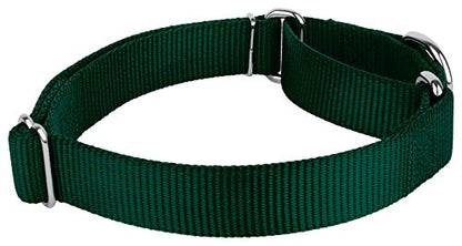 Country Brook Petz - Green Martingale Heavyduty Nylon Dog Collar and Double Handle Leash (3/4 Inch, Small) - color: Green, size: Small (Pack of 1)