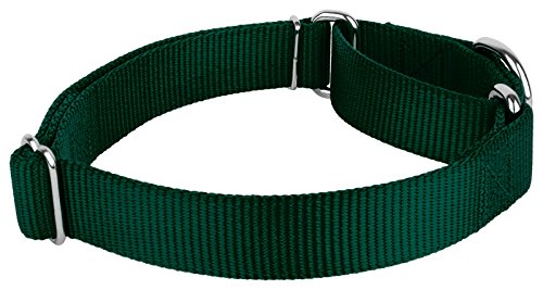 Country Brook Petz - Green Martingale Heavyduty Nylon Dog Collar and Double Handle Leash (1 Inch, Medium) - color: Green, size: Medium (Pack of 1)