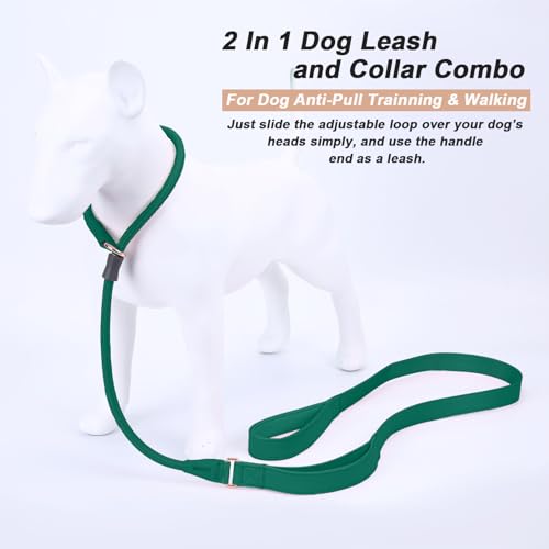 Slip Lead Dog Leash, Dog Training Leash with Double Handle, Soft Leather Slip Leash and Collar, Heavy Duty Nylon Dog Lead, No Pull Walking for Medium Large Small Dogs 5ft Dark Green - color: Dark Green, size: 5ft