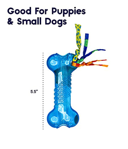 Bone Mini Dog Chew Toy & Treat Stuffer for Teething Puppies & Small Dogs up to 20 lbs, Bounces & Floats, Textured for Dental Support, Moderate Chewers, 5.5" - size: Mini (Pack of 1)