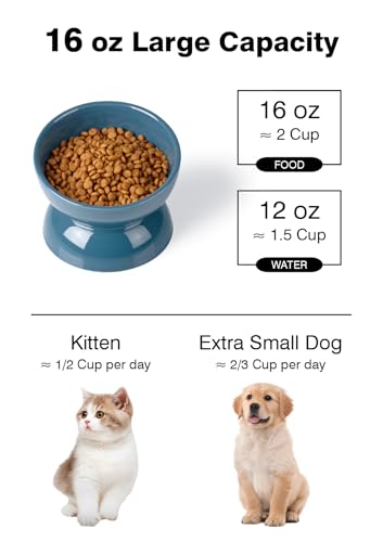 ABRUTY Cat Water Bowl, 16 OZ Ceramic Elevated Cat Bowls, 15° Tilted and Raised Pet Food Dish, Anti Vomiting Protect Pets' Spines and Whisker Fatigue, Set of 2, Blue - color: Blue, size: 2 Pack