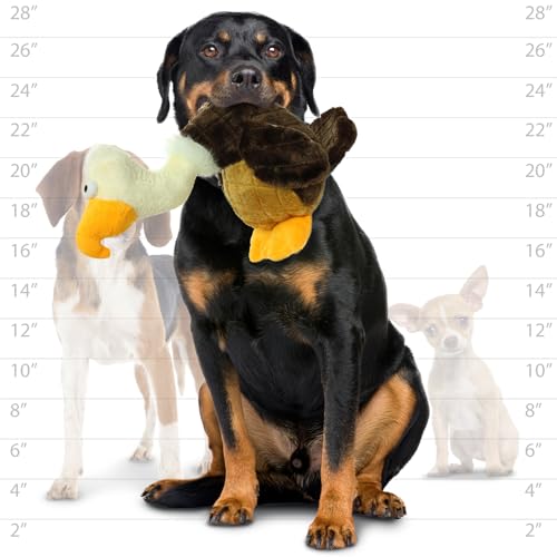 MIGHTY- Safari Vulture - Squeaker-Multiple Layers. Made Durable, Strong & Tough. Interactive Play Dog Toy (Tug, Toss & Fetch). Machine Washable & Floats | Ultra Durable Plush Toy with Multiple Layers & Reinforced Seams , Washable and Floats , Mighty® Cons