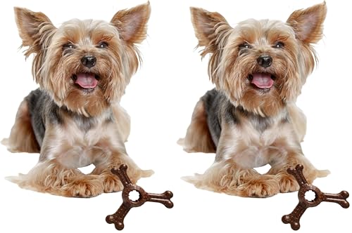 SPOT Bam-Bones Plus Triple Chew - Bamboo Fiber & Nylon, Durable Long Lasting Dog Toy for Aggressive Chewers – Great for Adult Dogs & Teething Puppies Under 30lbs, Non-Splintering, 4in, Bison Flavor - size: 4 in (2-Pack)