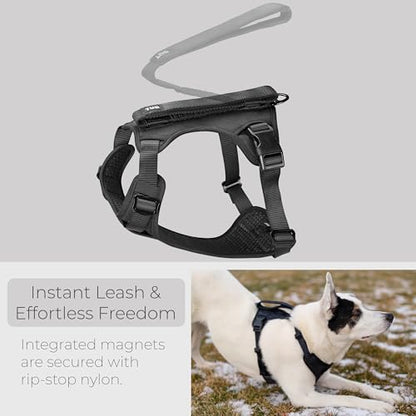 TUG Grab Dog Harness | Integrated Traffic Leash Magnetically Attached for Quick Control (Large/Black) - color: Black - Grab Harness, size: Large