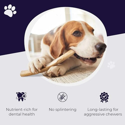 Devil Dog Pet Co. Elk Antlers for Dogs, Natural Dog Chew for Aggressive Chewers - Long Lasting and Odor Free - USA Sourced - Cleaner Teeth, Anxiety & Boredom Relief - Whole Petite 3.5"+ 6 Pack - style: WHOLE - Petite - 6 Pack