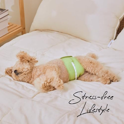 WICKEDPUP Male Dog Belly Band Kit, 50 Diaper Pads & 1 Reusable Male Wrap (Size 1 (14"-17.5" Waist)) - size: Size 1 (14"-17.5" Waist)