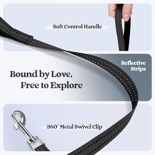 rabbitgoo Dog Harness Small Sized and Leash Set, Step in Soft Light Puppy Vest, Breathable Mesh Pet Harness, Reflective for Safe Easy Walking, Black XXS - color: Black, size: Xxs (chest: 12.4 - 14.2")