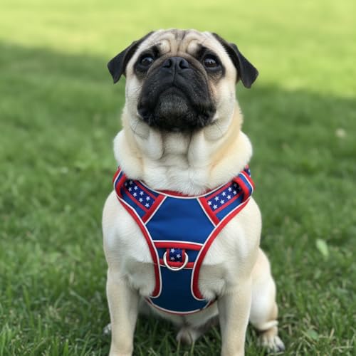Medium Dog Harness, No Pull Pet Vest with Neck Buckle for Easy On Off, Breathable Walking Harness for French Bulldog, Corgi, Beagle, Padded with Sturdy Handle, 2 Tactical Leash Clips (M Size) - size: Medium