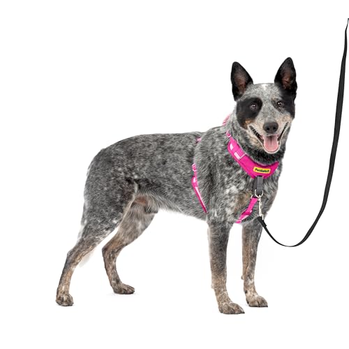 PetSafe Easy Walk Comfort No-Pull Dog Harness Full-Body Padding - Better Walks on the First Use - 5 Points of Adjustment Medium, Pink - color: Pink, size: Medium